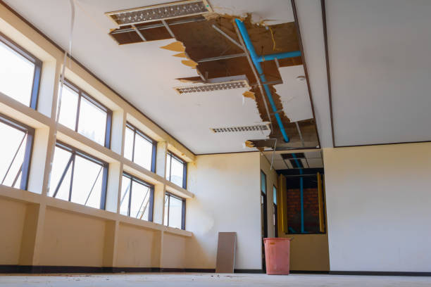 Best Carpet water damage restoration  in Hillsborough, CA