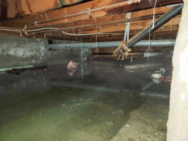 Best Local water damage restoration  in Hillsborough, CA