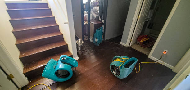 Best 24/7 water damage repair  in Hillsborough, CA