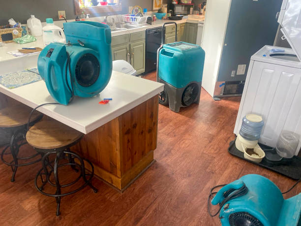 Best Sewage cleanup and water damage restoration  in Hillsborough, CA