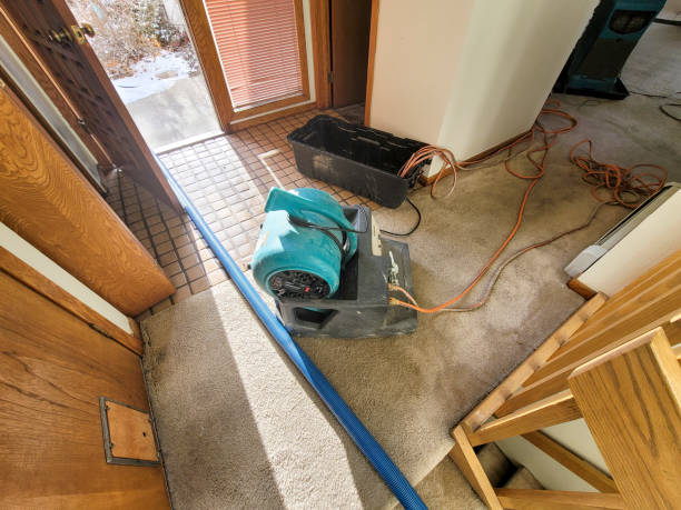 Water damage restoration mold remediation in CA