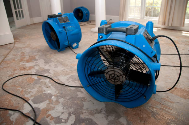 Best Flooded house restoration  in Hillsborough, CA