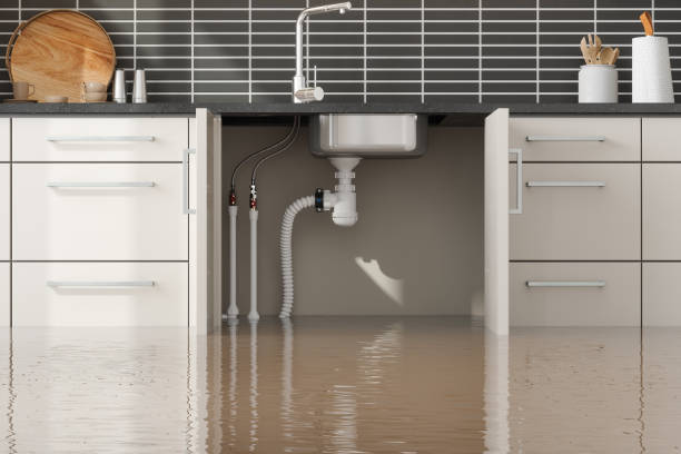 Best 24-hour water damage restoration  in Hillsborough, CA