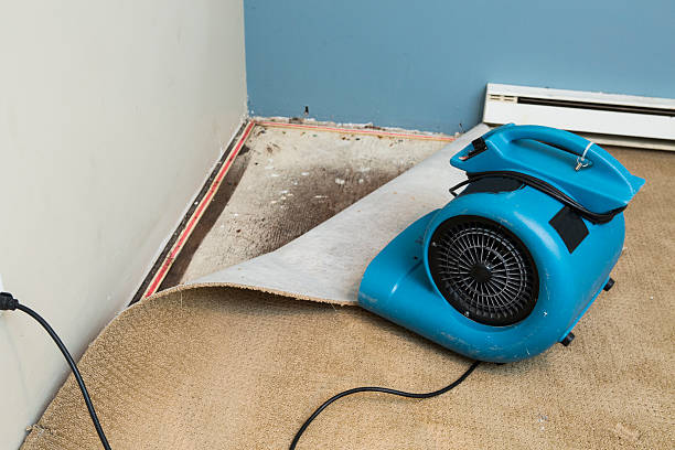 Best Residential water damage restoration  in Hillsborough, CA